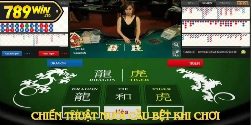 Anh Hoàng Cọp Hái Lộc 500 Triệu Tại 789win Rồng Hổ Cực Khủng! 3 Anh Hoàng Cọp Hái Lộc 500 Triệu Tại 789win Rồng Hổ Cực Khủng!
