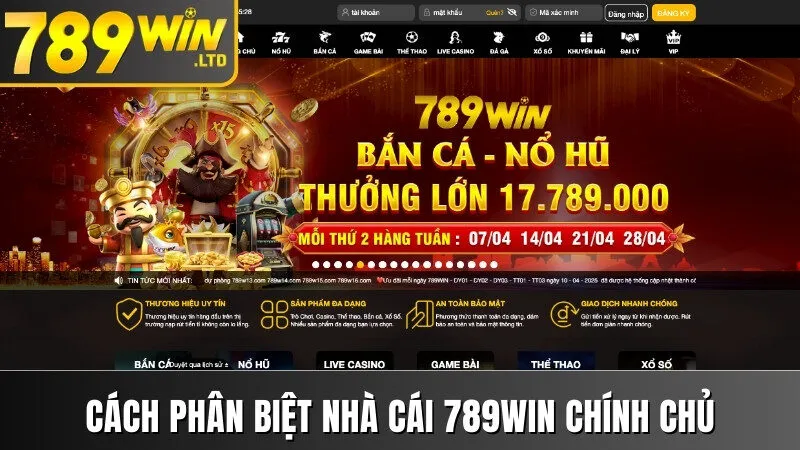 Cách phân biệt nhà cái 789WIN chính chủ và không chính chủ