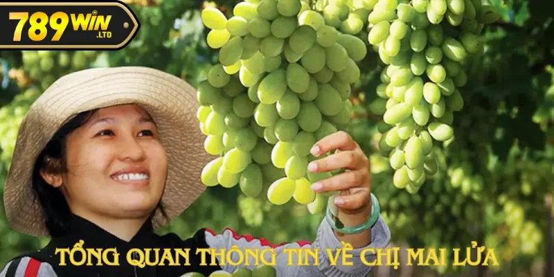 Chị Mai Lửa Hái Lộc Tài Xỉu 500 Triệu tại 789Win Cực Khủng! 1 Chị Mai Lửa Hái Lộc Tài Xỉu 500 Triệu tại 789Win Cực Khủng!