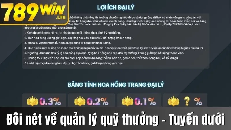 Đôi nét về cách 789win quản lý quỹ thưởng, quản lý tuyến dưới