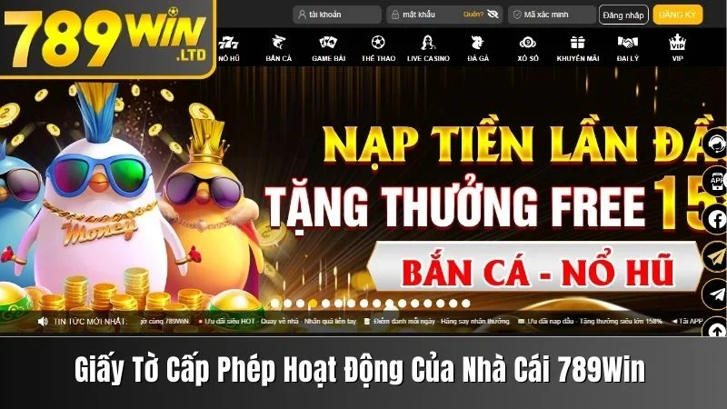 Giấy tờ cấp phép hoạt động của nhà cái 789win