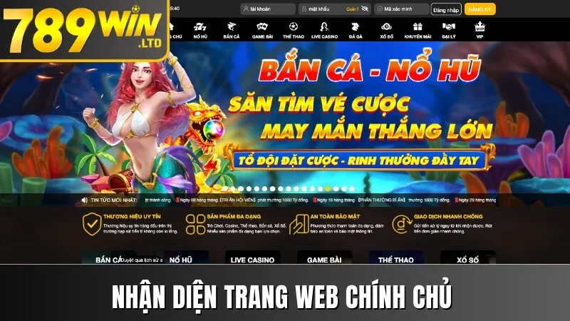 Nhận diện trang web chính chủ 