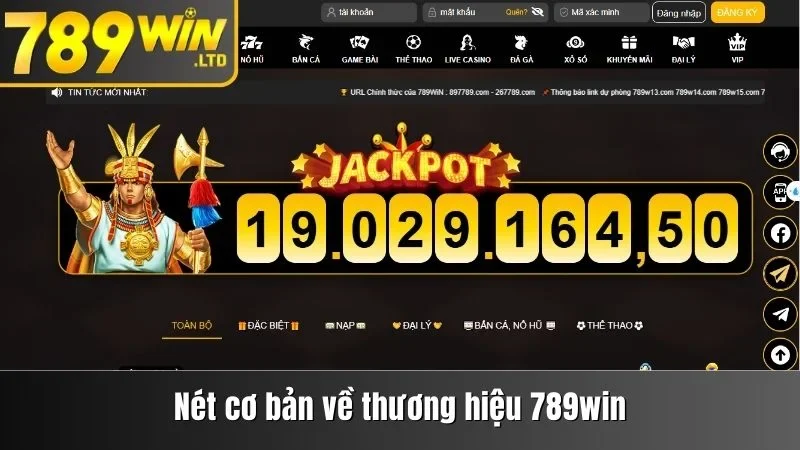 Vài nét cơ bản về thương hiệu 789win